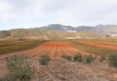 Non-developable land for sale on España, Cozvíjar, ref: TR371797 photo