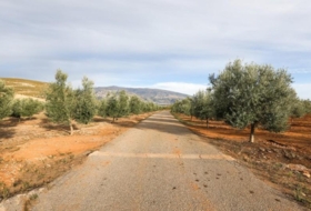 Cozvíjar 160000&nbsp;м²