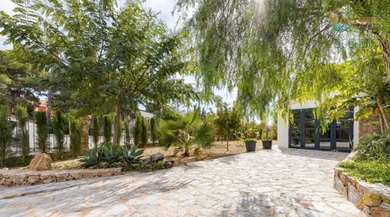Murcia - Cartagena - 1200m2