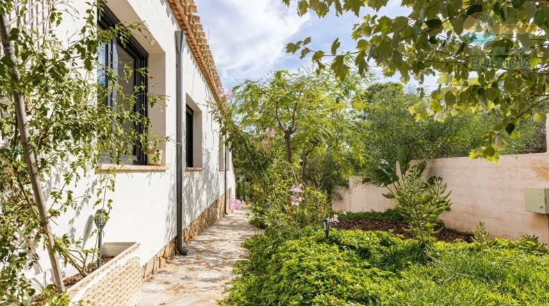 Murcia - Cartagena - 1200m2
