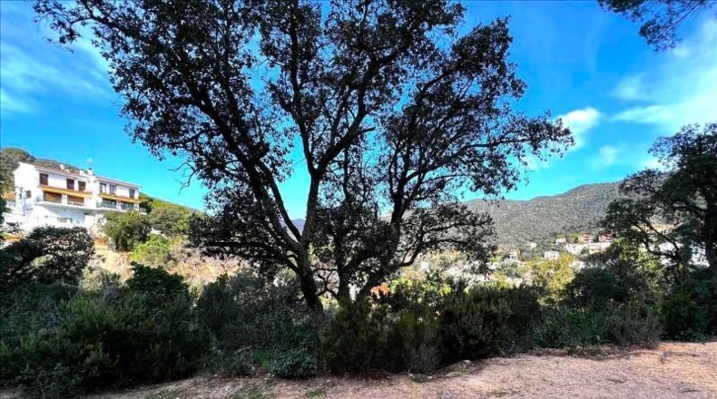 Жирона - Santa Cristina d'Aro - 4219m2