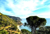 Sòl urbà en venda a la España, Santa Cristina d'Aro, ref.: TR318701 foto