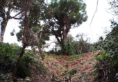 Sòl urbà en venda a la España, Santa Cristina d'Aro, ref.: TR318701 foto
