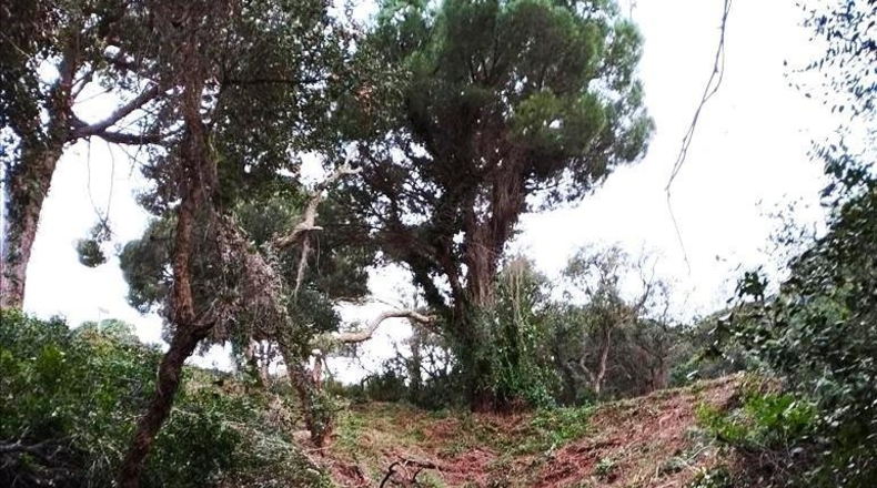 Жирона - Santa Cristina d'Aro - 4219m2