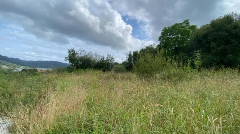 Asturias - Villaviciosa - 5882m2
