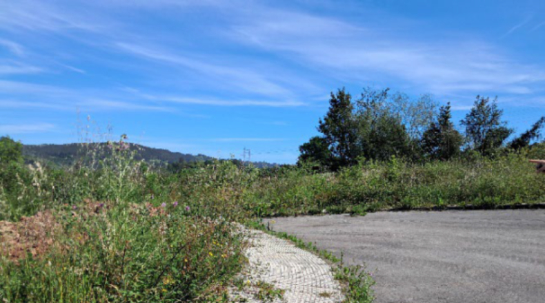 Asturias - Villaviciosa - 5883m2