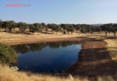 Xalet independent amb terreny en venda a la España, Torrecampo, ref.: TR352370 foto