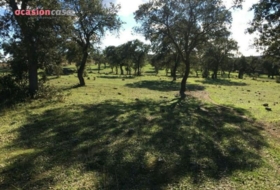Torrecampo 1&nbsp;m² 