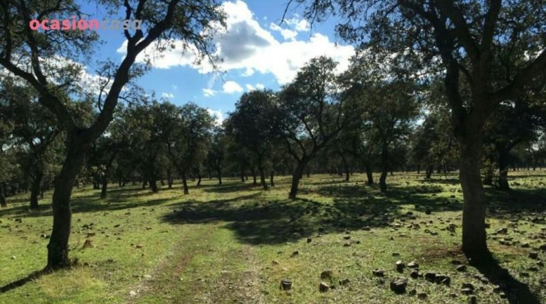 Córdoba - Torrecampo - 1m2