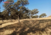 Xalet independent amb terreny en venda a la España, Torrecampo, ref.: TR352370 foto