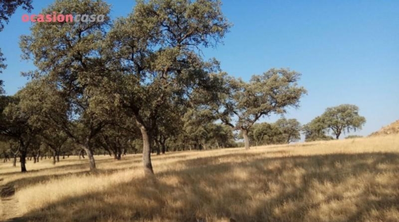 Córdoba - Torrecampo - 1m2