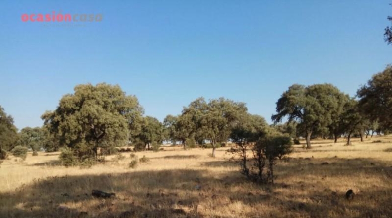 Córdoba - Torrecampo - 1m2