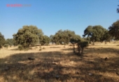 Xalet independent amb terreny en venda a la España, Torrecampo, ref.: TR352370 foto