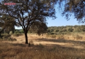 Xalet independent amb terreny en venda a la España, Torrecampo, ref.: TR352370 foto