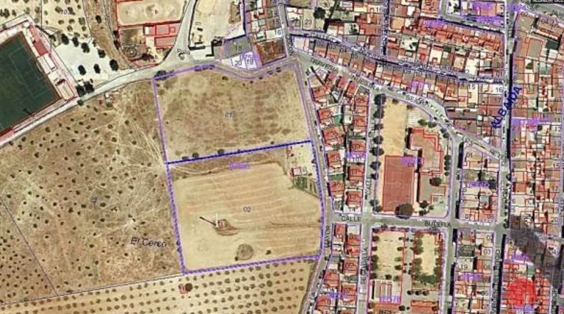 Seville - Albaida del Aljarafe - 10420m2