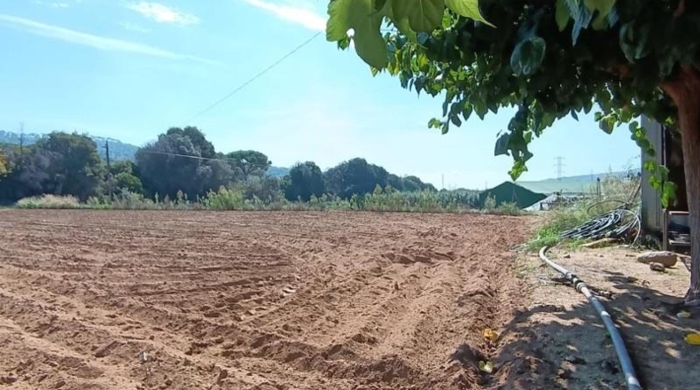Barcelona - Argentona - 23000m2