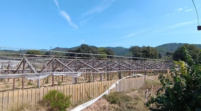 Barcelona - Argentona - 23000m2