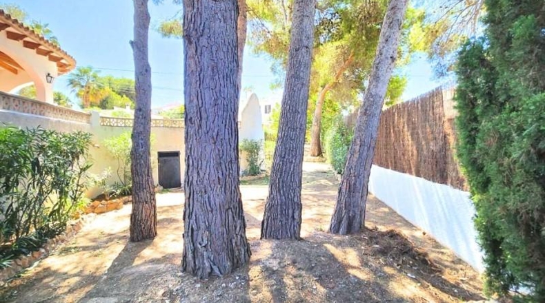 Alicante - Calpe - 1235m2