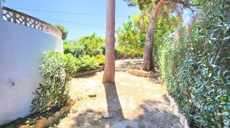 Alicante - Calpe - 1235m2