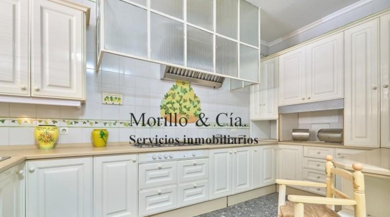 Cádiz - Villamartín - 450m2