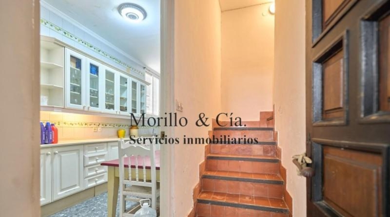 Cádiz - Villamartín - 450m2