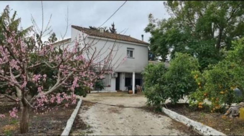 Málaga - Mijas - 10000m2