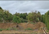 Casa de campo con terreno en venta en la España, Campo-Mijas, ref: TR399009 foto