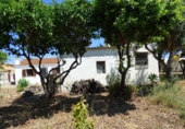 Xalet independent amb terreny en venda a la España, els Poblets, ref.: TR267013 foto