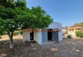 Xalet independent amb terreny en venda a la España, els Poblets, ref.: TR319119 foto