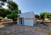 Xalet independent amb terreny en venda a la España, els Poblets, ref.: TR319119 foto