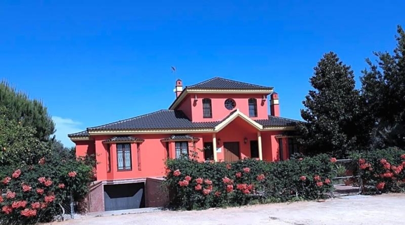 Sevilla - Mairena del Alcor - 10000m2