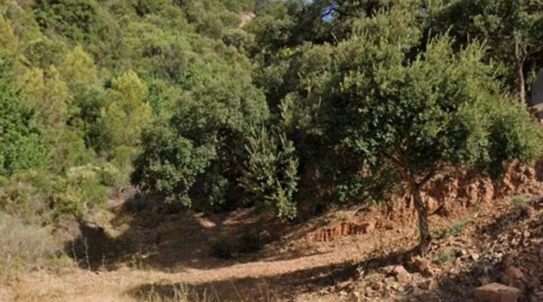 Malaga - Marbella - 1509m2