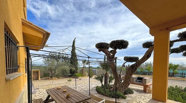 Tarragona - Camarles - 33280m2