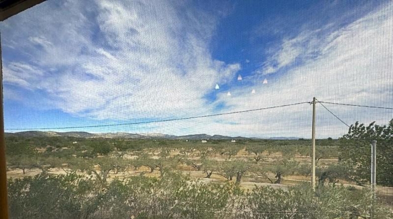Tarragona - Camarles - 33280m2