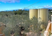 Casa de campo con terreno en venta en la España, Camarles, ref: TR158323 foto