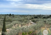 Casa de campo con terreno en venta en la España, Camarles, ref: TR158323 foto