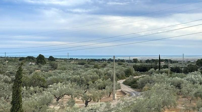 Tarragona - Camarles - 33280m2