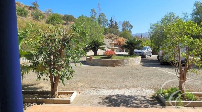 Málaga - Almogía - 25000m2