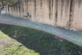 Foto 20