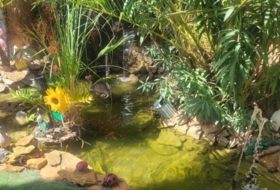 Foto 11