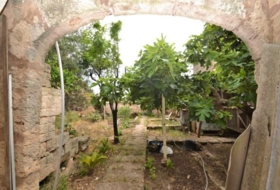Foto 14