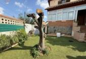 Xalet independent amb terreny en venda a la España, Barberà del Vallès, ref.: TR348605 foto
