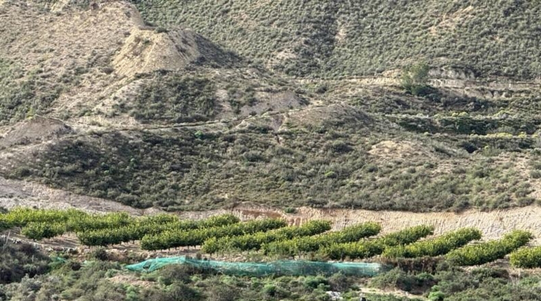 Murcia - Murcia - 102011m2