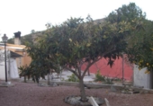 Chalet independiente con terreno en venta en la España, Villajoyosa, ref: TR333301 foto