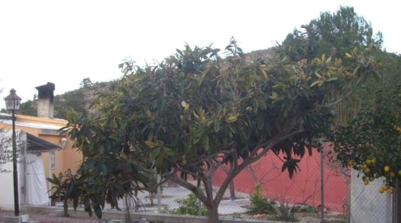Alicante - Villajoyosa - 3200m2