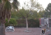 Chalet independiente con terreno en venta en la España, Villajoyosa, ref: TR333301 foto