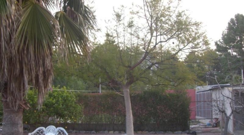Alicante - Villajoyosa - 3200m2