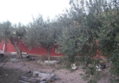 Chalet independiente con terreno en venta en la España, Villajoyosa, ref: TR333301 foto