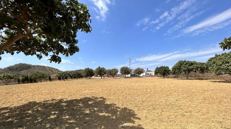 Málaga - Mijas - 28131m2