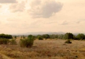 Land suitable for development for sale on España, Alcorcón, ref: TR343477 photo
